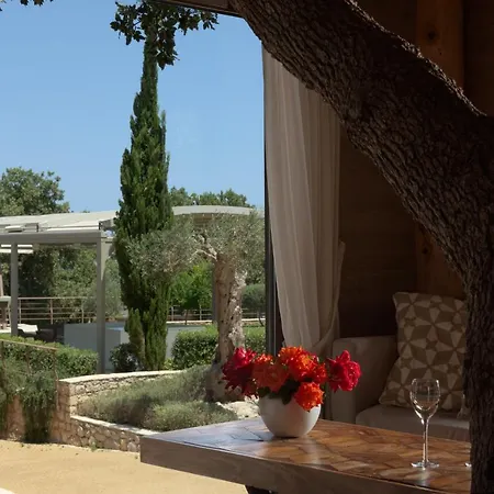 הוילה Atsipopoulo Stolidi Mou Treehouse מראה חיצוני תמונה