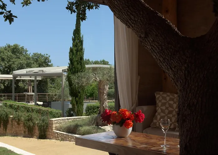 Stolidi Mou Treehouse