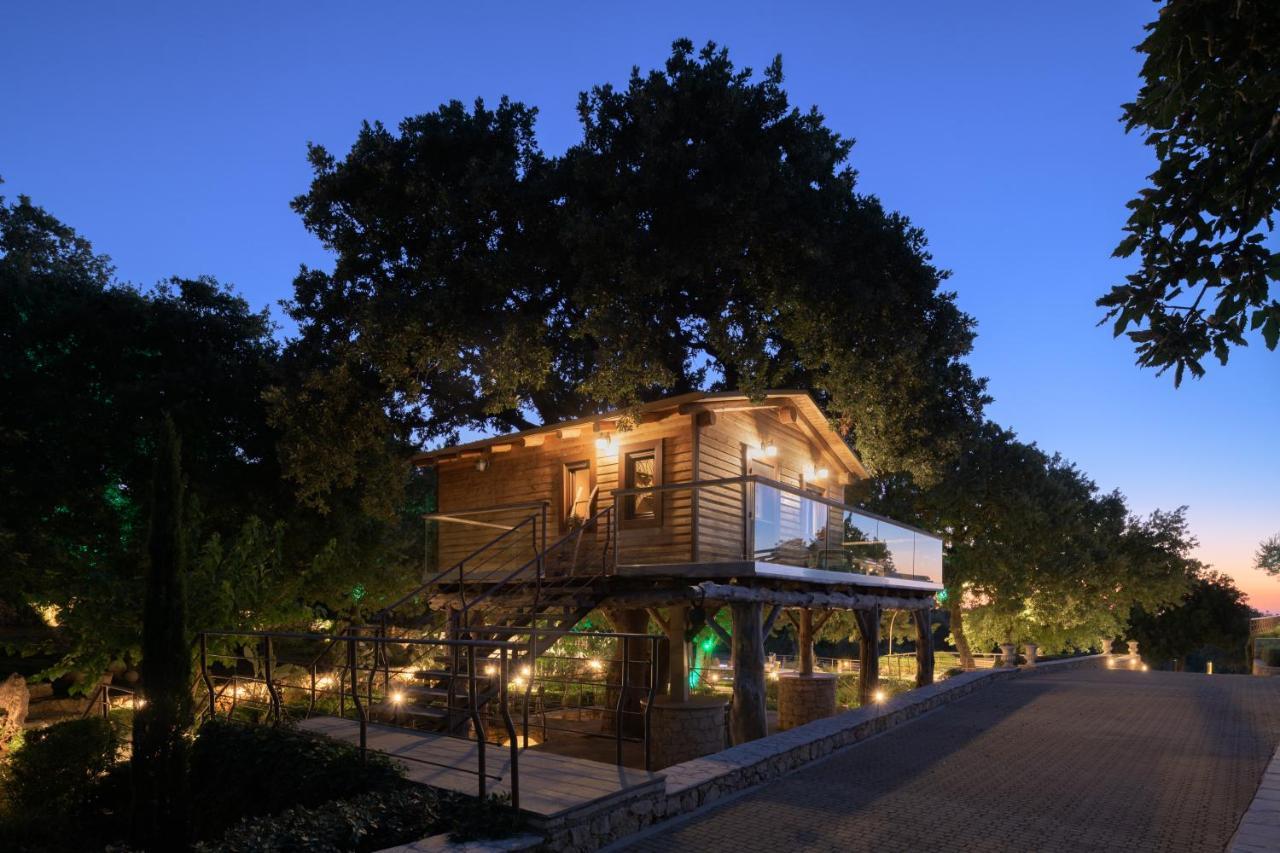 Stolidi Mou Treehouse Atsipopoulo